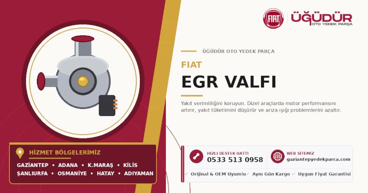 Fiat EGR Valfi – Yakıt Verimliliğini Koruyun
